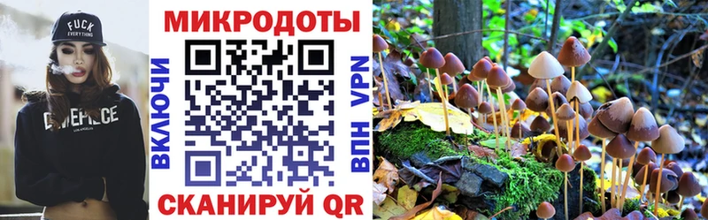 mega онион  Всеволожск  Псилоцибиновые грибы ЛСД 